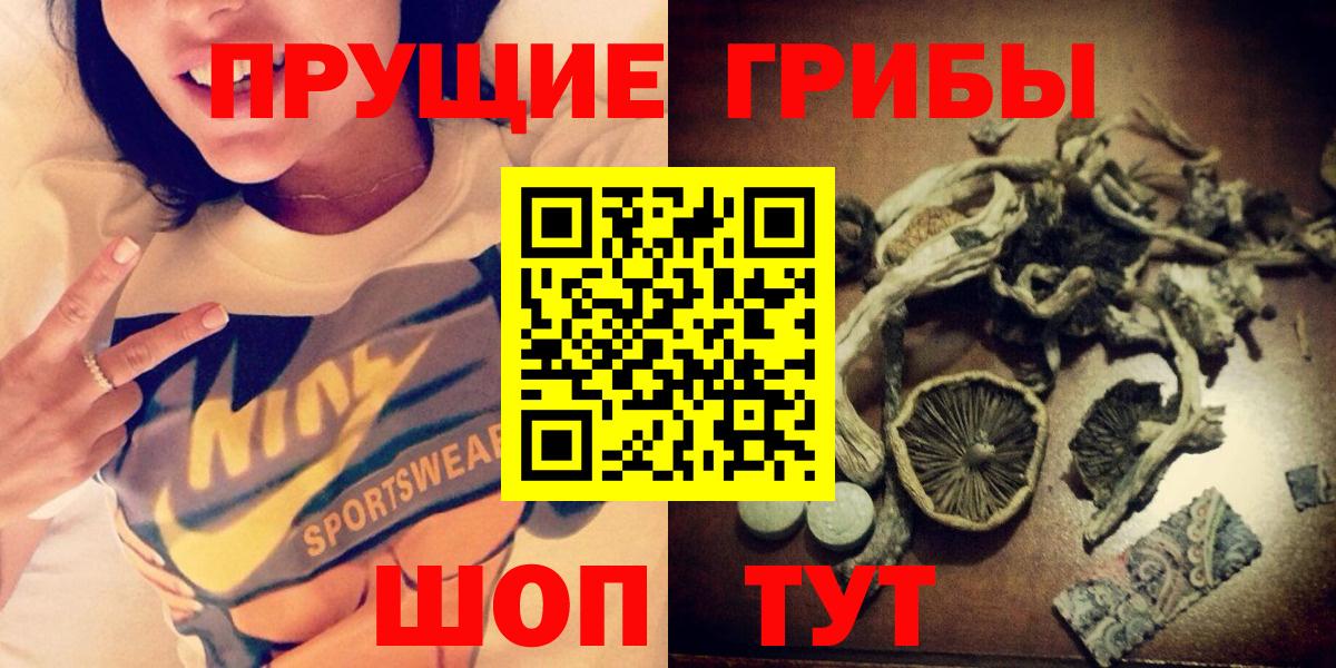 Псилоцибиновые грибы Psilocybine cubensis Мирный